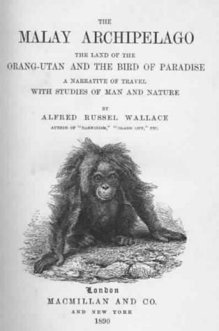 The Malay Archipelago by Alfred Russel.